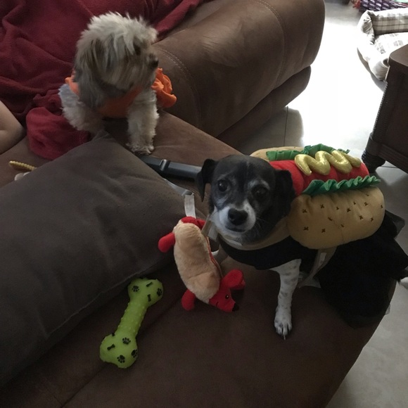 Meet your Posher, Jannesse! - Picture 5 of 6